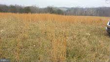 Lot 4 LOT 4 Winchester Grade Rd, Berkeley Springs, WV 25411 - photo 4