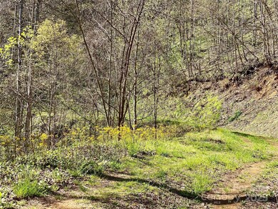 7858 Big Laurel Rd, Marshall, NC 28753 - photo 6