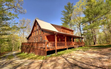 245 Hillbilly Holler, Blue Ridge, GA 30513 - photo 2