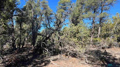 TBD Paradise Loop, Quemado, NM 87829 - photo 6
