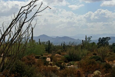 Viewpoint -To The South