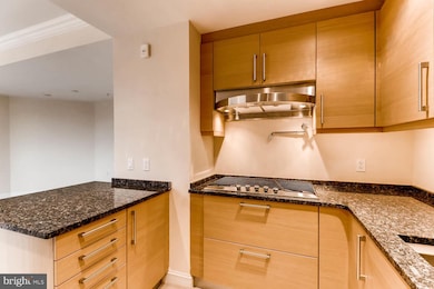 The Ritz-Carlton Residences, Baltimore, MD 21230 - photo 5