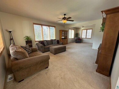 Living area featuring visible vents, carpet floors
