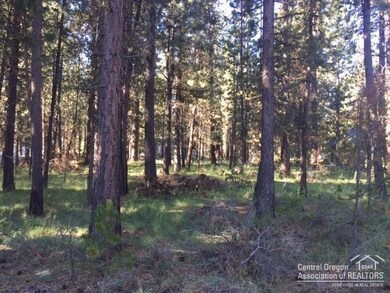 17033 Torrance, Bend, OR 97707 - photo 4