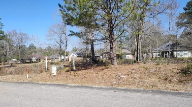 NHN Lot 49 Magenta Ln, Picayune, MS 39466 - photo 4