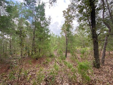 Mostly smaller pines