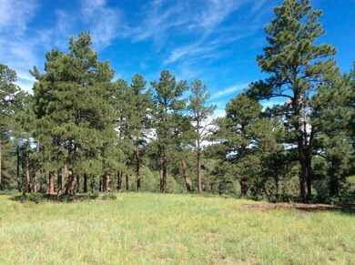 33070 Meadow Ridge Ln unit 3/Lots B-6 & B-, Trinidad, CO 81082 - photo 6