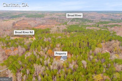 0 Broad River Rd unit 10650042, Carlton, GA 30627 - photo 7