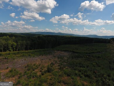 0 Johnson Mountain Rd unit 7401-I 10609078, Rydal, GA 30171 - photo 4