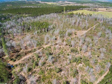 41 acre tract has old growth timber on 3 sides