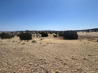 471 Cimarron Dr unit LOT 116 CIMARRON RAN, Quemado, NM 87829 - photo 4