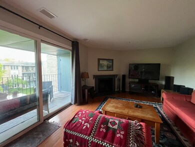 2129 Ammer Ridge Ct unit 302, Glenview, IL 60025 - photo 5