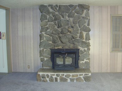 Wood Burning Fireplace