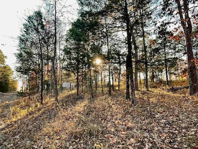 129 Woodlawn Place, Mountain Home, AR 72653 - photo 6