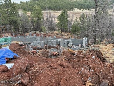 4965 W Braided Rein, Flagstaff, AZ 86005 - photo 5