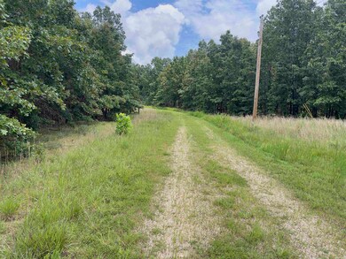 TBD Turkey Springs Ranch Ln, Highland, AR 72543 - photo 4