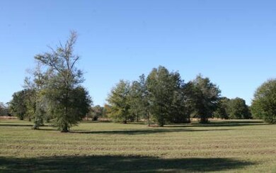 LOT63 Mandiba Dr, Lake City, FL 32024 - photo 2