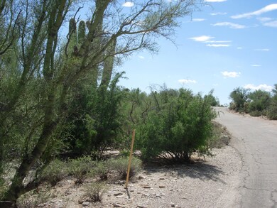 pic 6