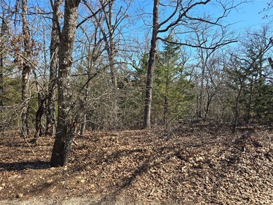 View of local wilderness