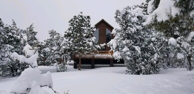 IMG_0382 (1)