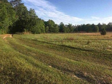 0 Standley Rd unit 280163, Monticello, FL 32344 - photo 2