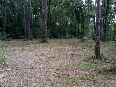 480 Pelican St, Magnolia, TX 77355 - photo 3