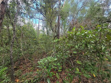 3006 Clearwood St, Inverness, FL 34452 - photo 7