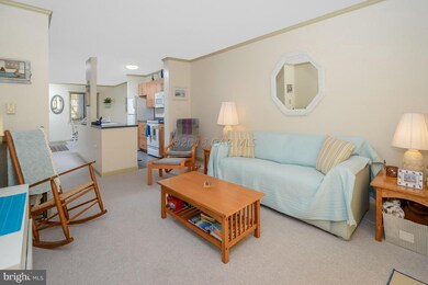 11615 Shipwreck Rd unit 5, Ocean City, MD 21842 - photo 7