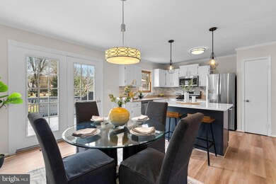 1513 Coat Ridge Rd, Herndon, VA 20170 - photo 6