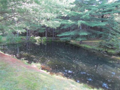 Pond located in back of the main home.
