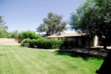 Huge Grassy Area behind Pool