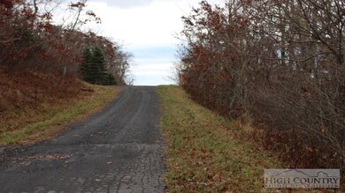 Lot On Right Side: Road Frontage On West Big Tree