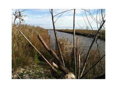 24728 Chef Menteur Hwy, New Orleans, LA 70129 - photo 5