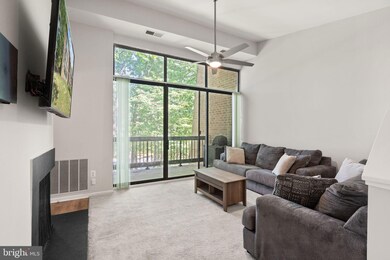11557 Rolling Green Ct unit 300, Reston, VA 20191 - photo 4