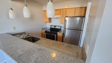 59-69 Msgr Patrick j Lydon Way unit 402, Boston, MA 02124 - photo 3