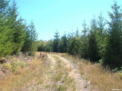 0 Mollenhour (#1) Rd unit 754450, Scappoose, OR 97056 - photo 2