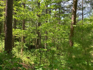 Lot 22 Whitetailed Deer Dr, Tomahawk, WI 54487 - photo 7