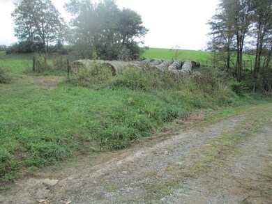 4097 Hilltop Rd, Ewing, KY 41039 - photo 4