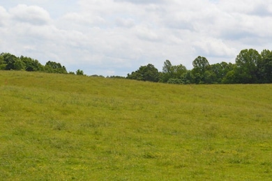 280 Copeland Ln, Cookeville, TN 38506 - photo 4