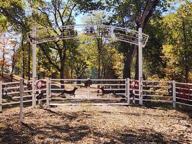 1585 Bray Mines Rd, Oldfield, MO 65720 - photo 3