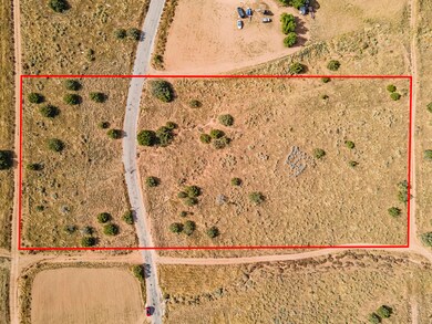 DJI_0491_Boundary