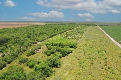 unlisted-address, Alice, TX 78332 - photo 7