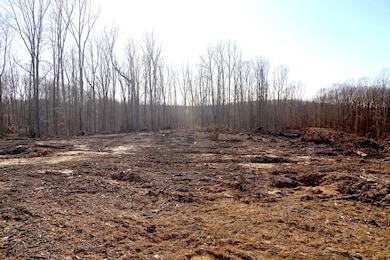 5 Oak Ridge Rd, Vanleer, TN 37181 - photo 4