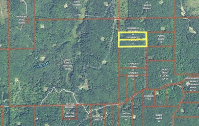 Camp Domino aerial