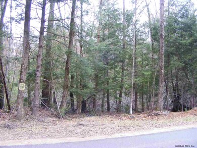 22 Horse Hill Rd, Hadley, NY 12835 - photo 5