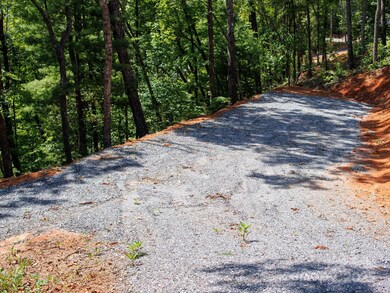 9999 Kimberly Ln unit 17, Franklin, NC 28734 - photo 3