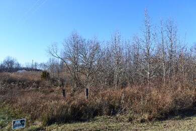 4874 Fox Knob Ln, Cookeville, TN 38506 - photo 6