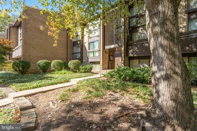 11561 Rolling Green Ct unit 301, Reston, VA 20191 - photo 3