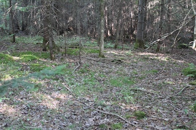 00 Miles Pond Rd, Concord, VT 05824 - photo 3