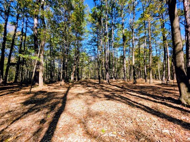 Your new homesite